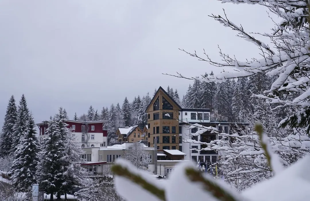 Das Waldhotel - Genuss & Wellness Am Notschreipass-1