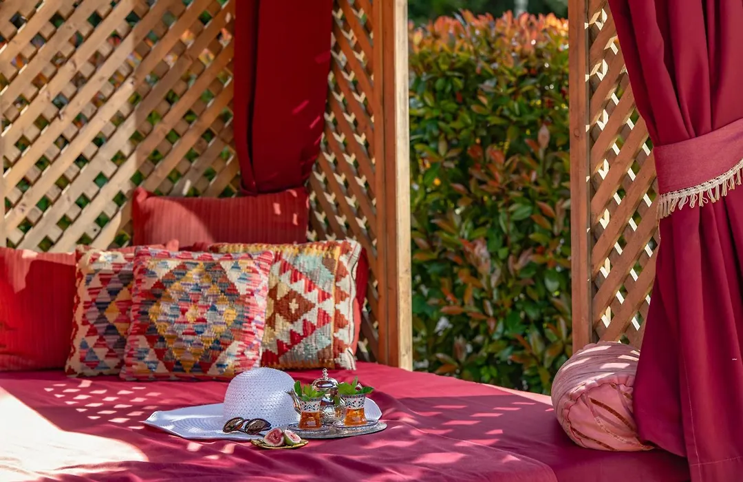 Meses Shiraz Hotel Superior-Adults Only-1