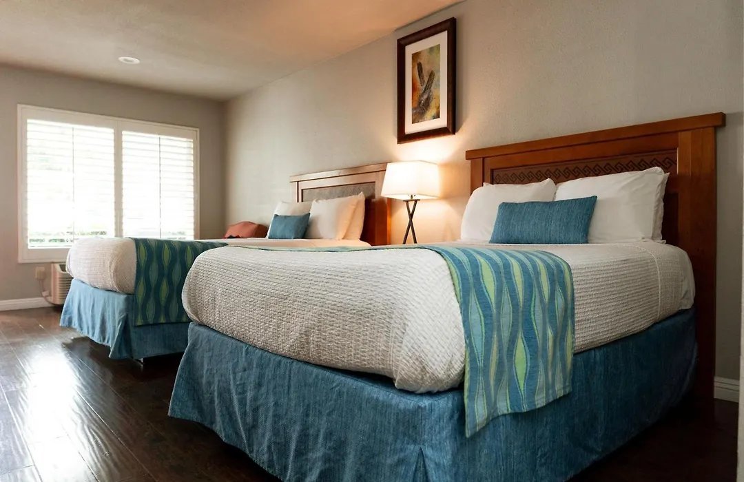 Alamo Inn And Suites - Convention Center-1