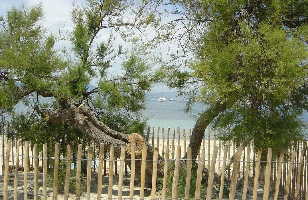 Villa La Begude - Boutique B&B-1