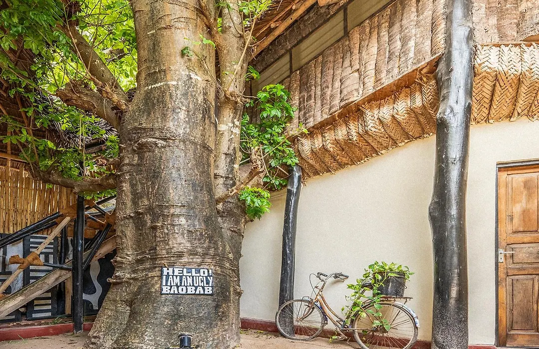 Makofi Guest House-1