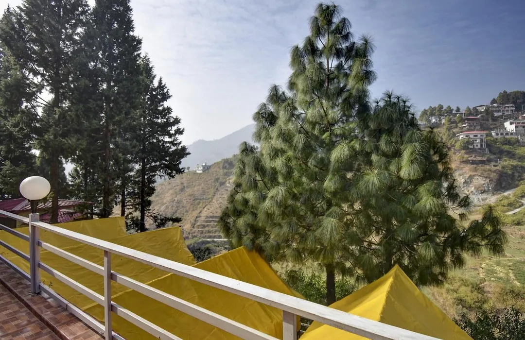 Hotel O By Oyo Pine Tree-1