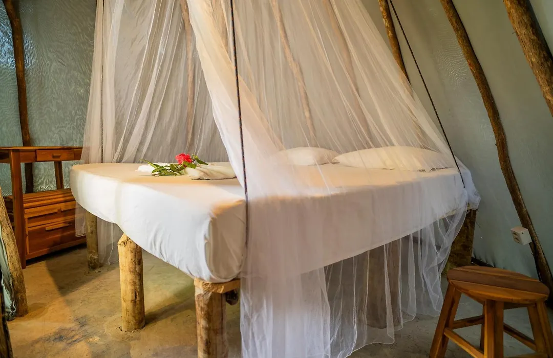 Treehouse Kitecamp Jericoacoara-1