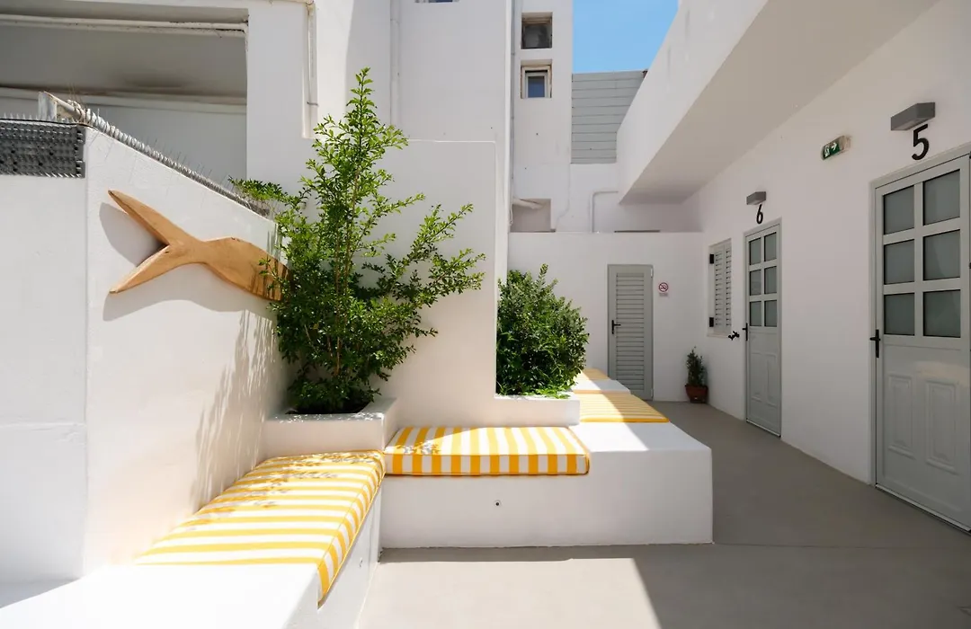 Pelican Paros-1