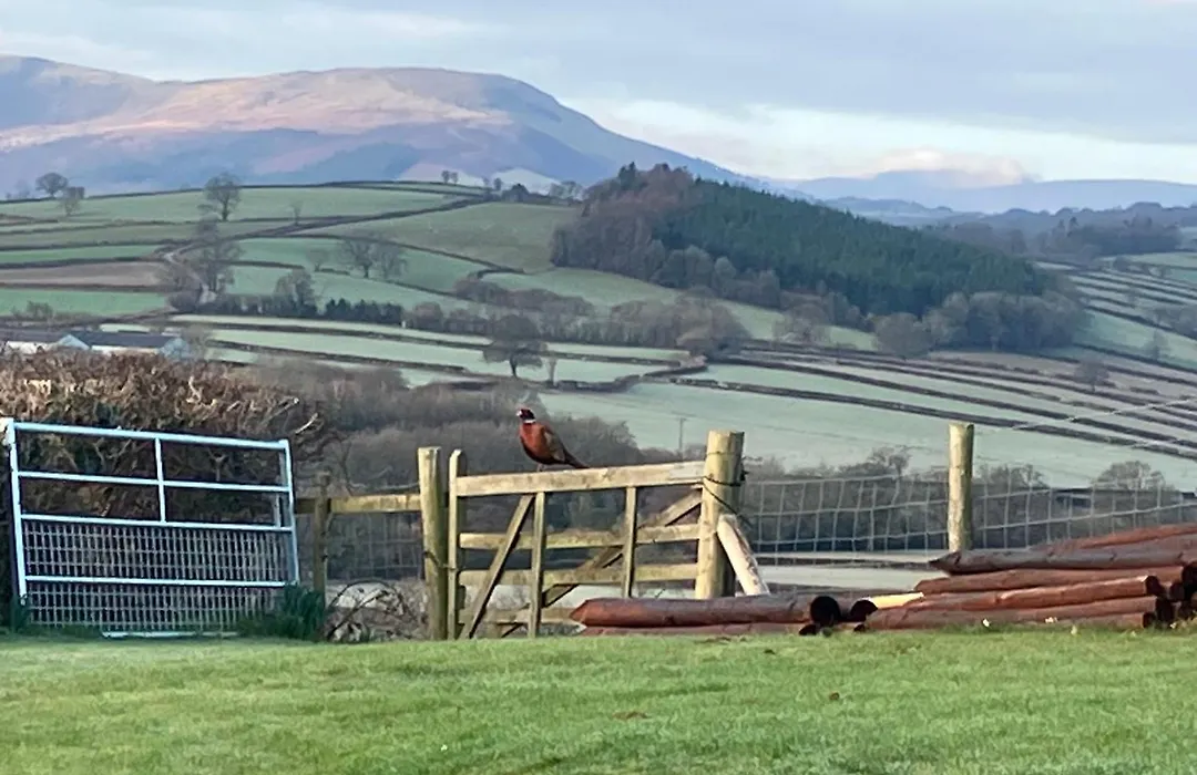 Beaconsview B&B-1