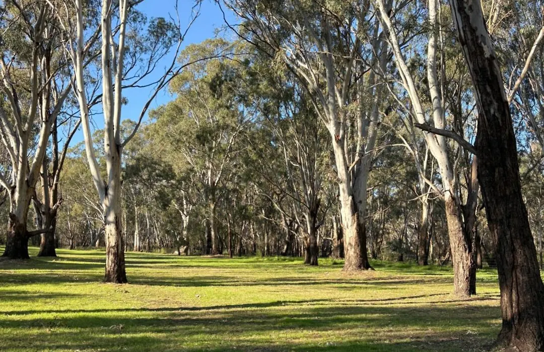 Rivergum Holiday Park-1