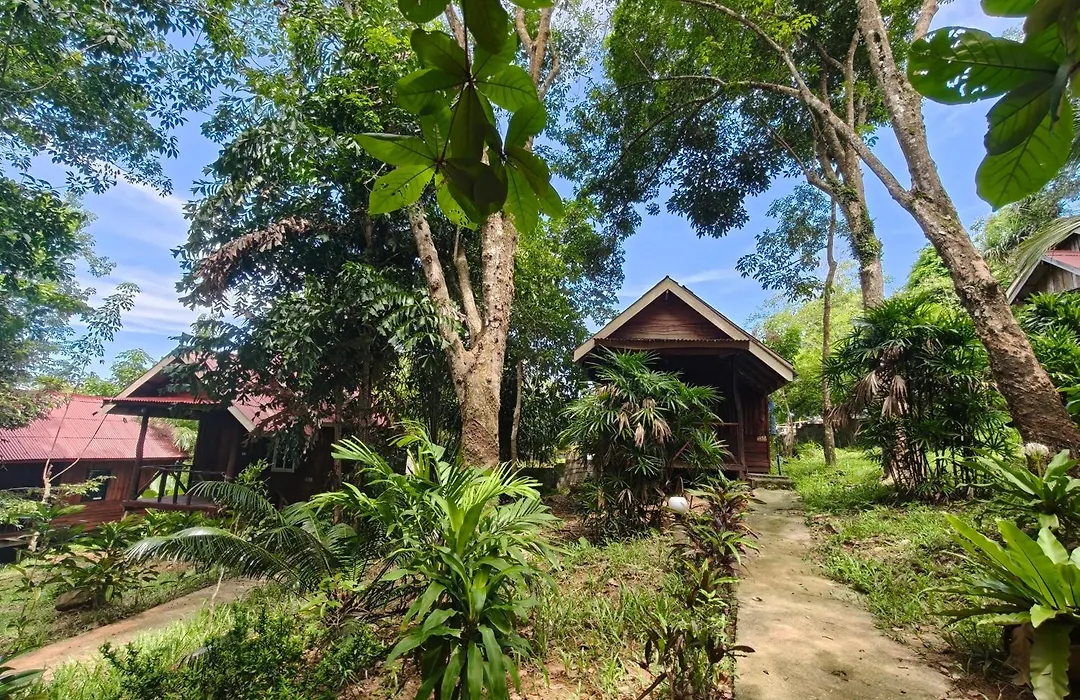 Jungle Hill Beach Bungalow-1