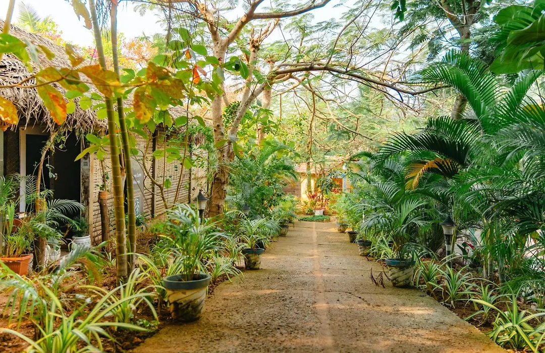 The Bay Agonda-1