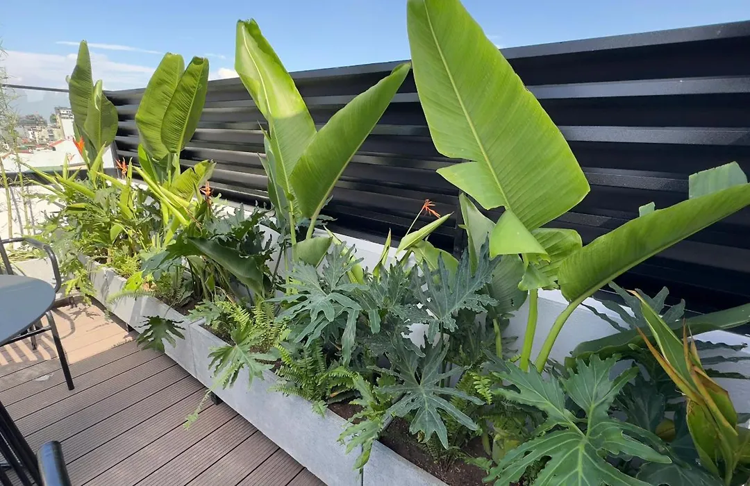 Palago Boutique Hotel & Rooftop-1