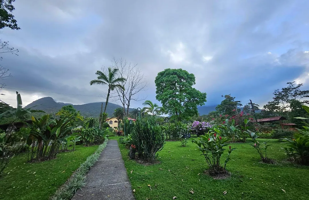 Yellow Tree Suites-1