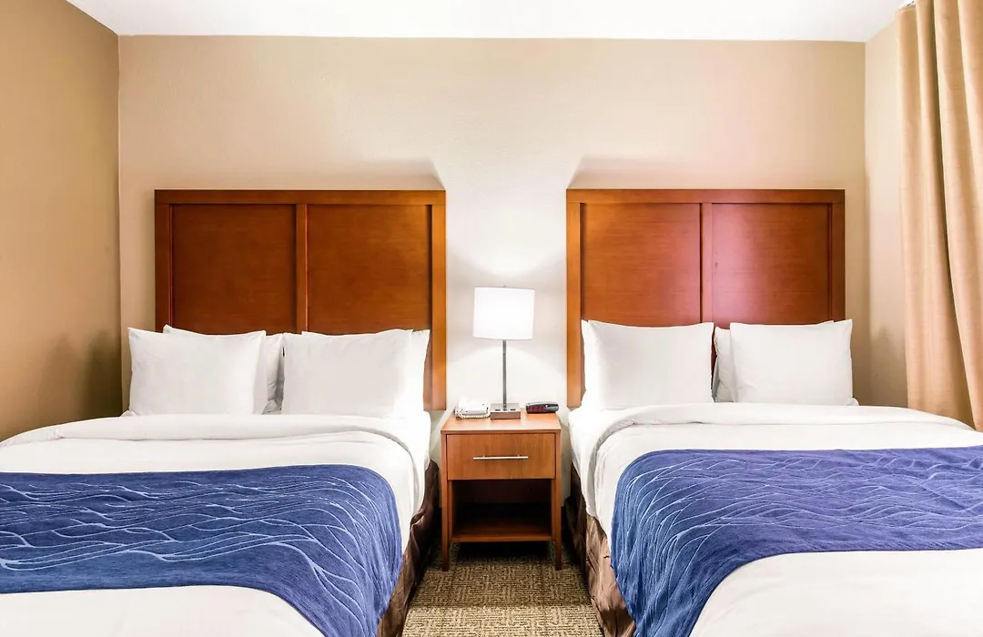Comfort Suites Humble Bush Intercontinental Airport-1