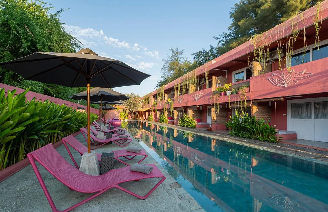 Pinkcoco Gili Trawangan - Constant Surprises - For Cool Adults Only-1
