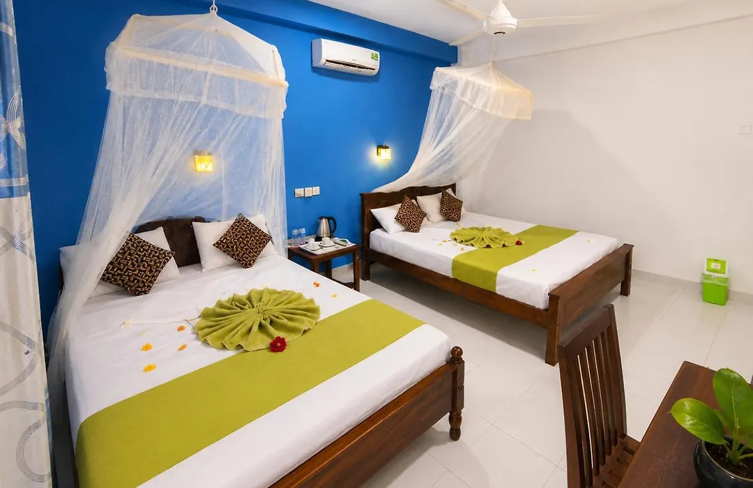 Sigiri Lion Lodge-1