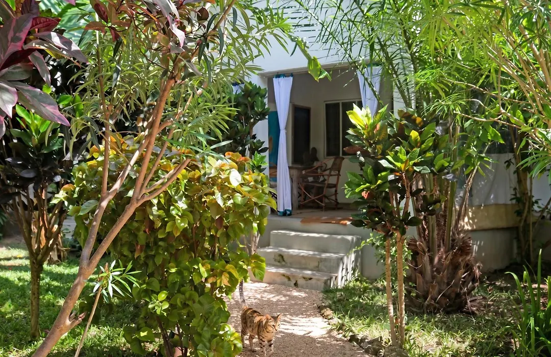 Villa Kiota-1