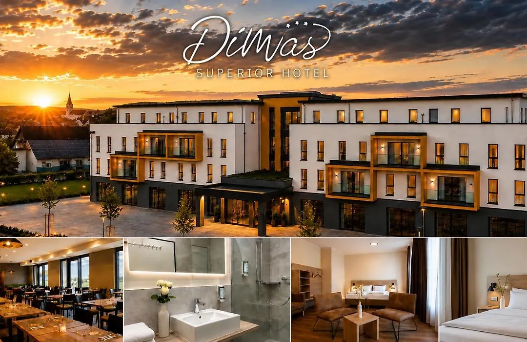 Dimas Hotel Ettenheim - Rust-1