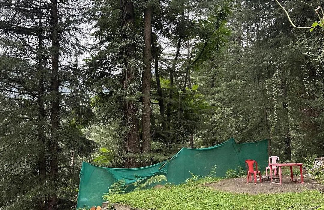 The Woodpecker Inn Jibhi-1