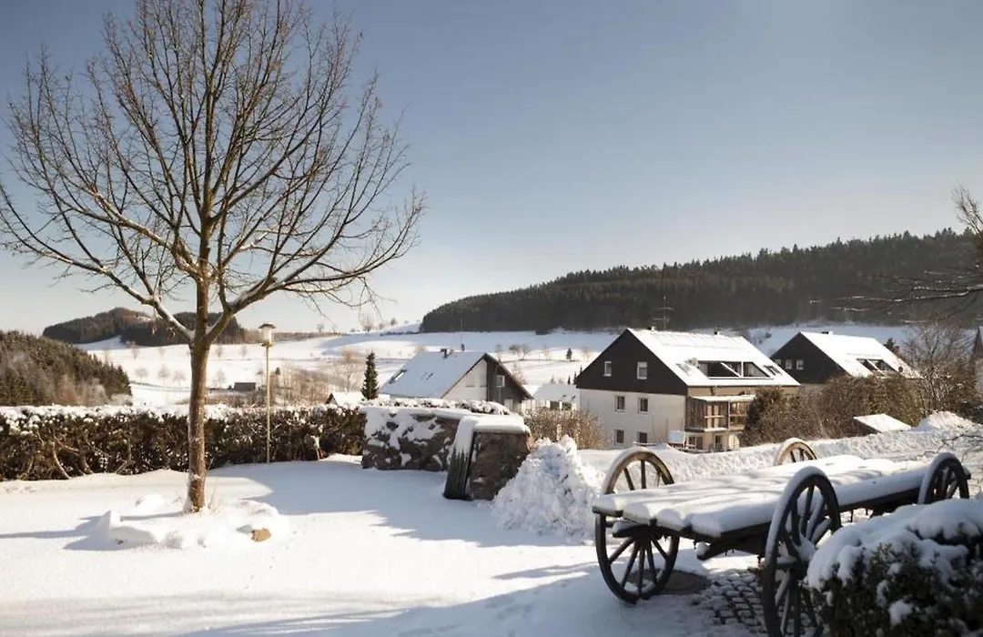 Sunday Hotel Willingen-1