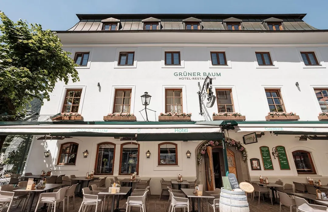 Hotel Grüner Baum-1