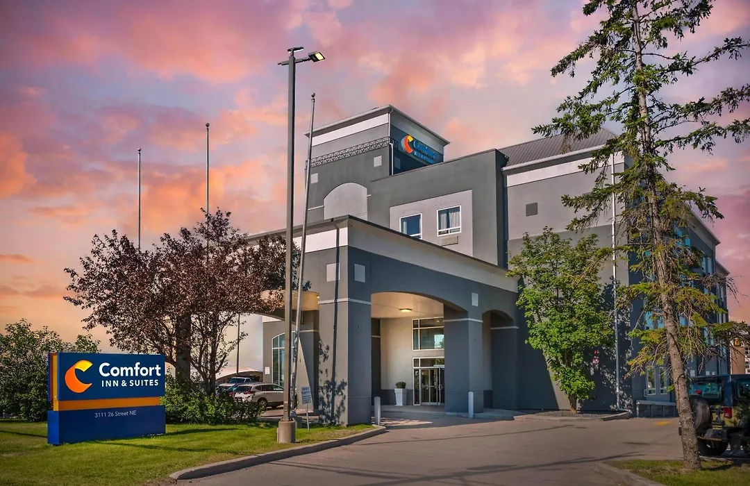 Comfort Inn & Suites Airport South-1