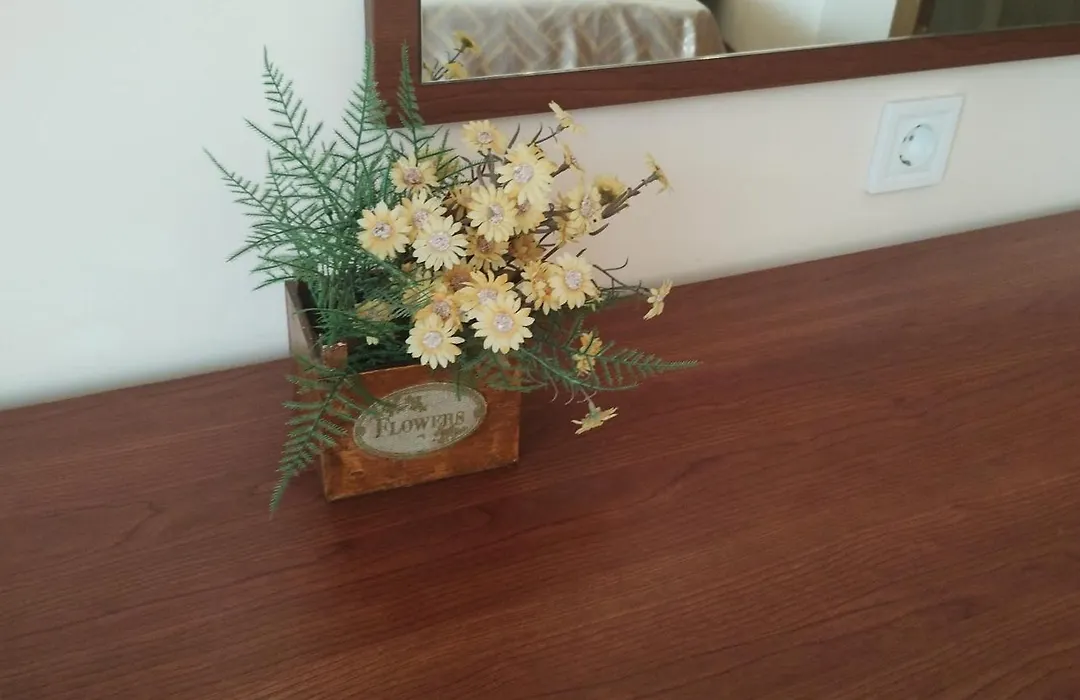 Sunny Flower Family Hotel-1