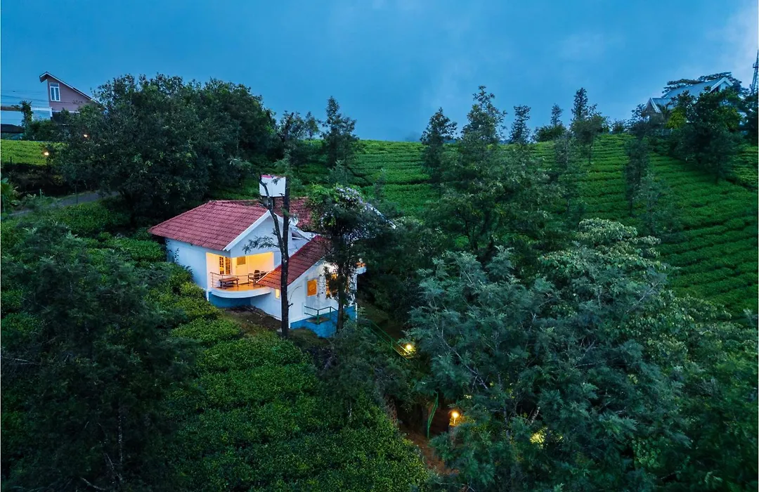 Falcon Crest-1