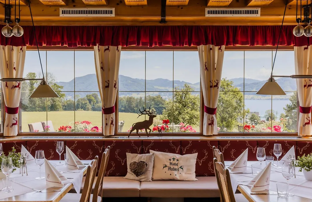 Hotel Haberl - Attersee-1