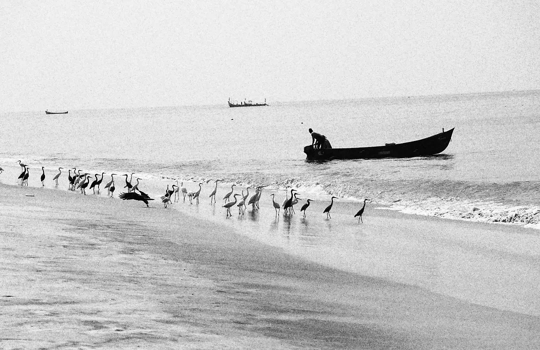 Kadalamma Beach Homestay-1