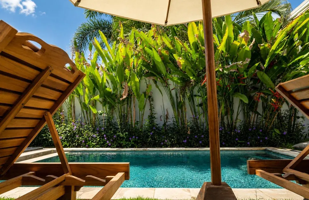 Susurro Villas - New Cozy Bungalow - Private Kitchen - 80Mbps Wifi-1