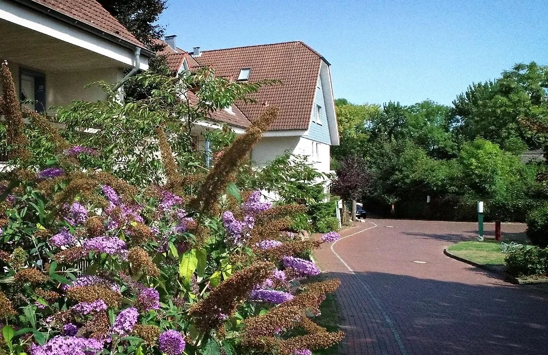 Appartement-Hotel Fördeblick-1