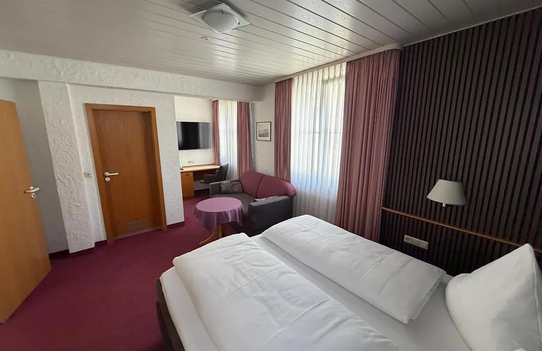 Hotel am Neckar-1