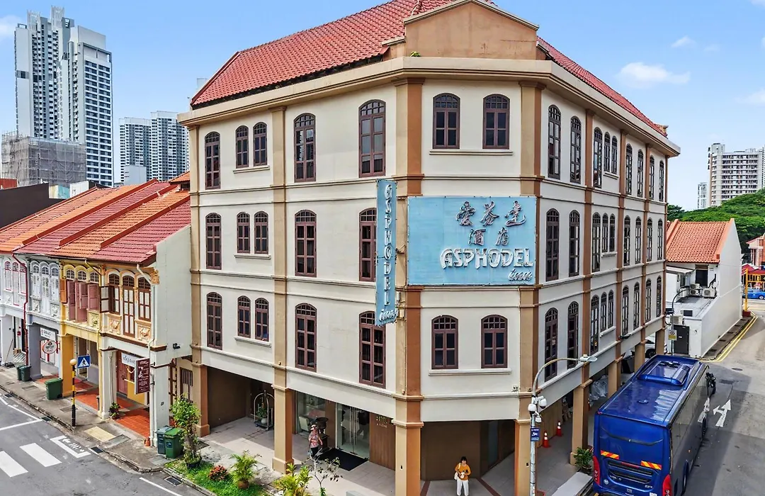 Asphodel Inn - Newly Renovated-1