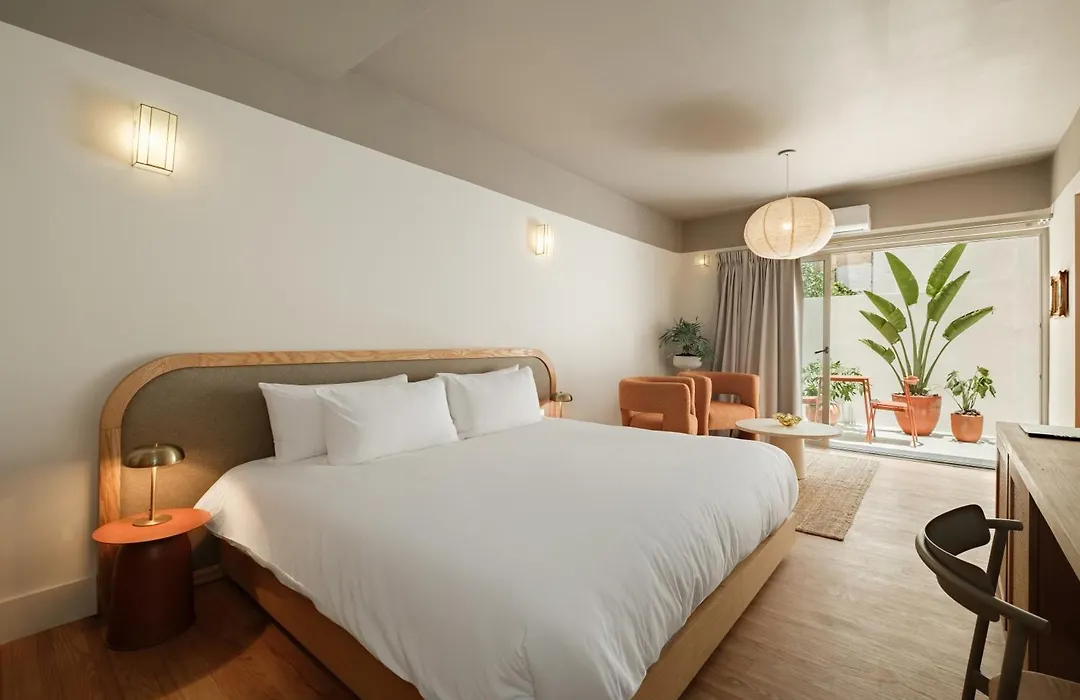 Cholula Condesa Hotel By Lumina-1