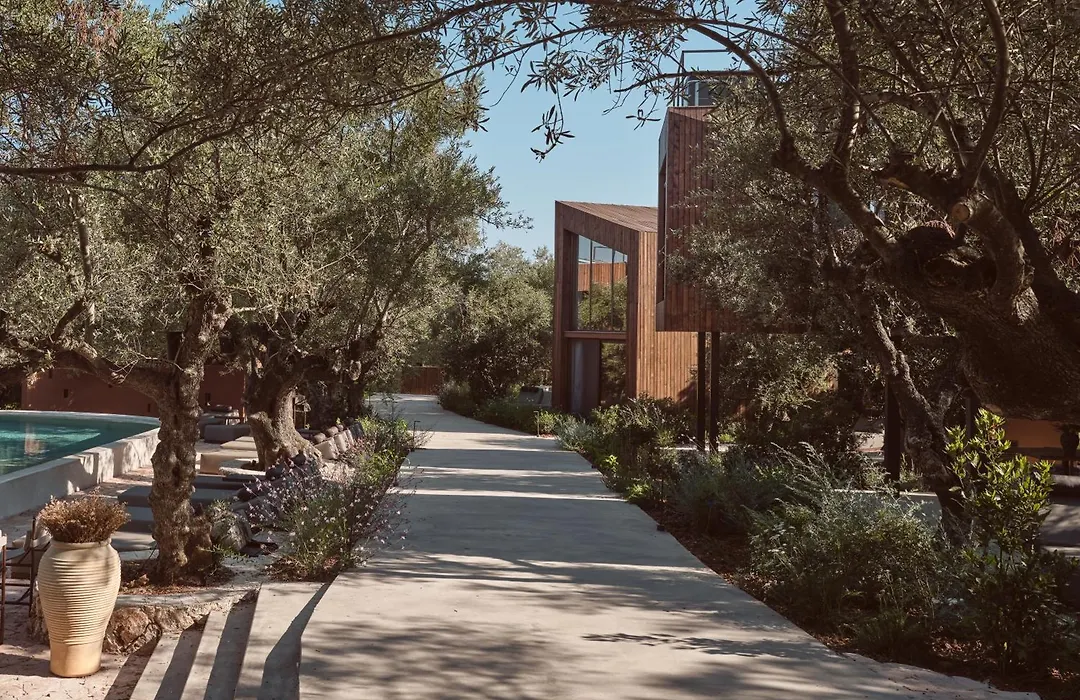 Prosilio Olive Tree Houses-1