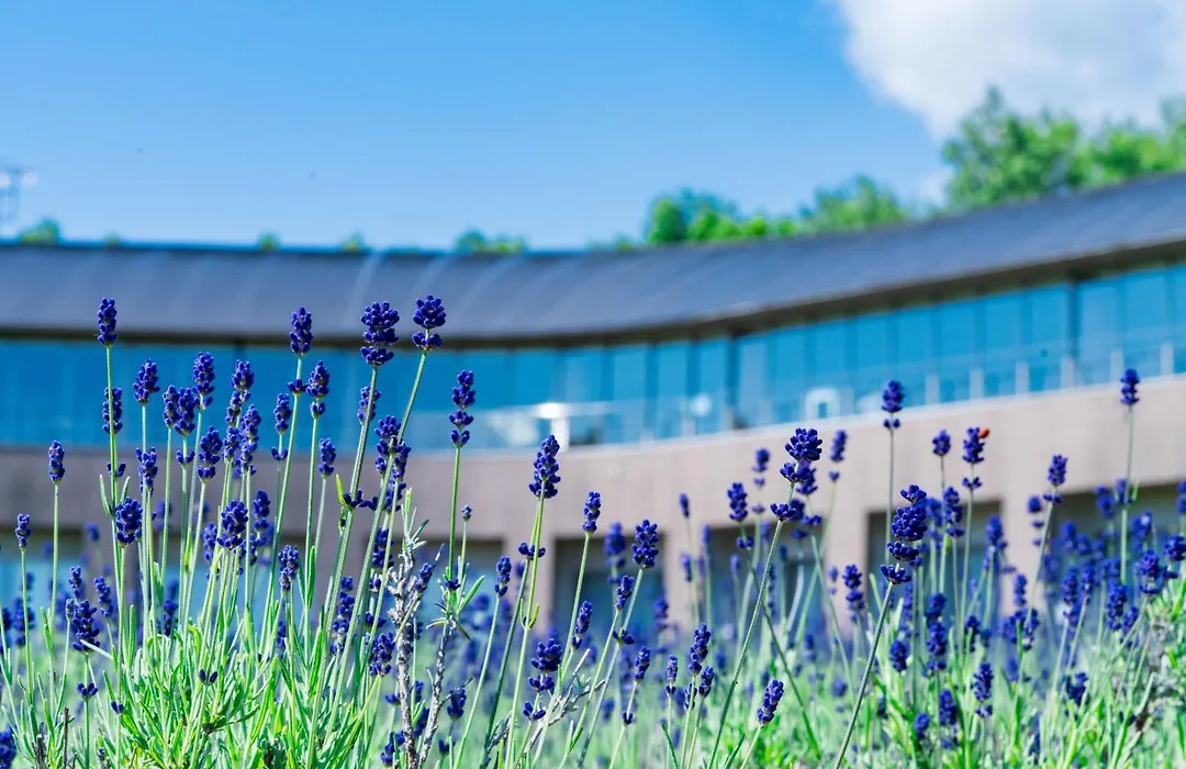 Furano Hotel 富良野ホテル-1