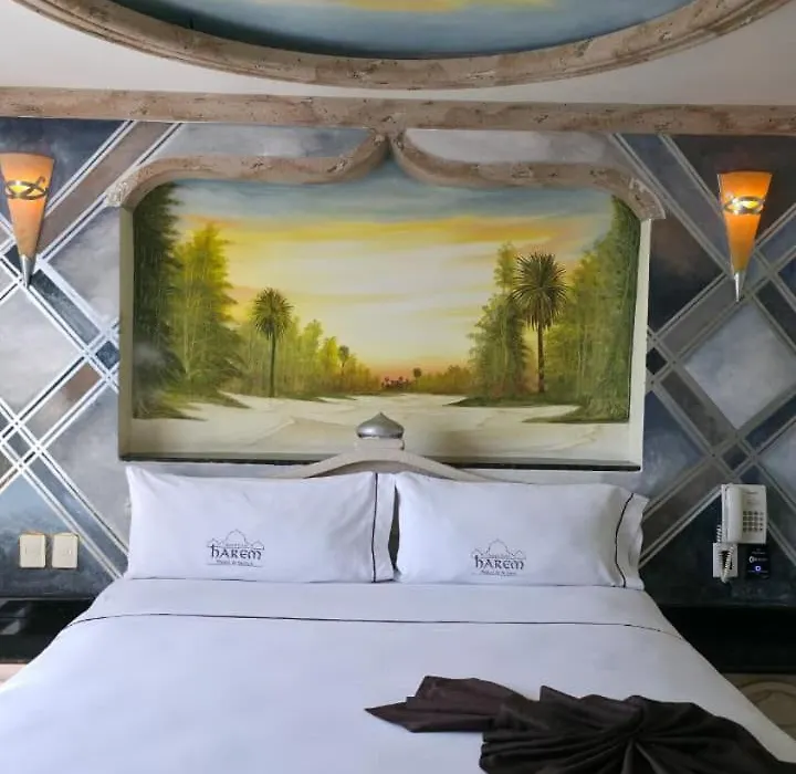 Motel Harem-1