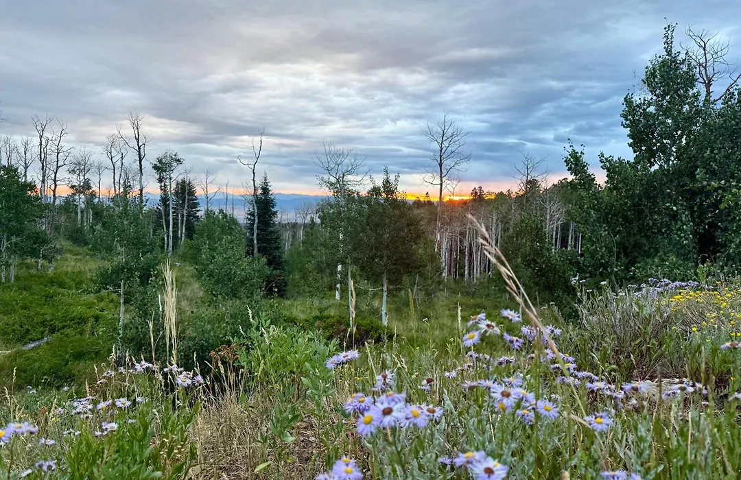 Elk Mountain Resort-1