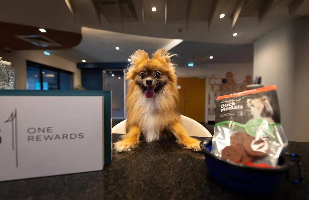 Holiday Inn Express Arras By Ihg-1