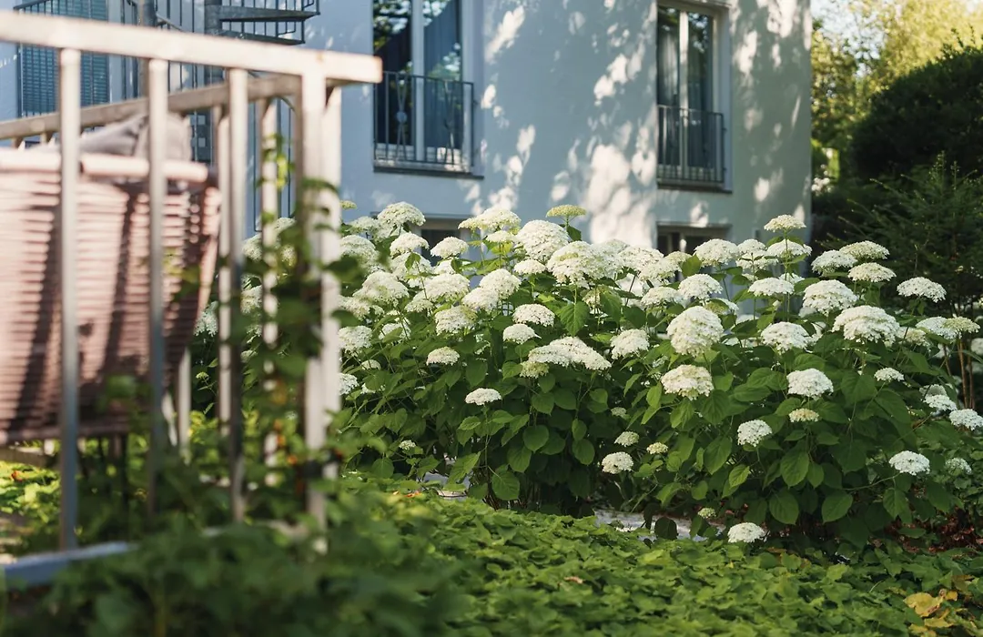 Hotel Waldhaus-Langenbrahm-1