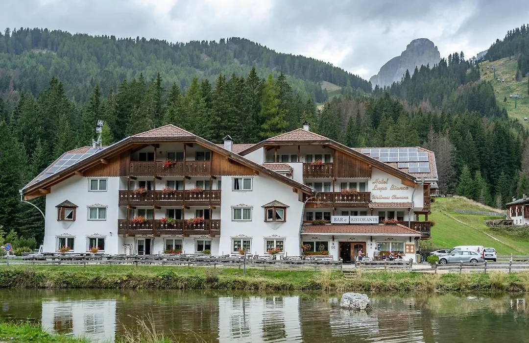 Wellness Hotel Lupo Bianco-1