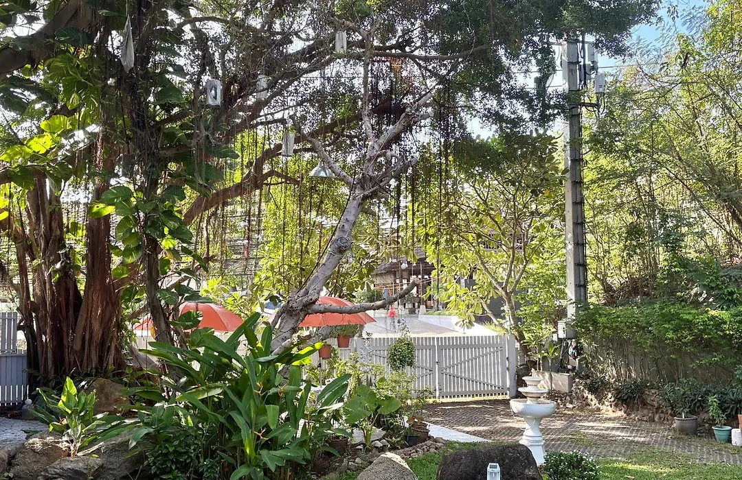 Banyan House Samui Bed And Breakfast (Adults Only)-1