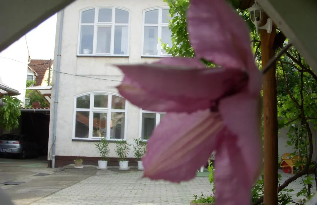 Garden Szivárvány utcai Vendégház-1