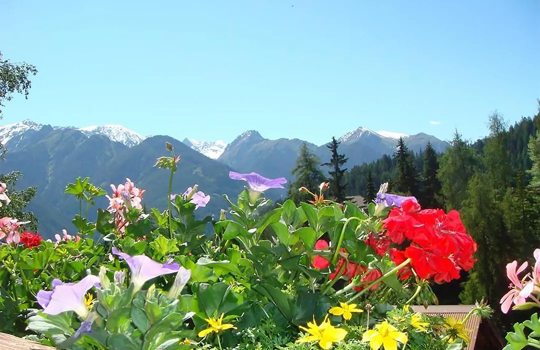 Haus Alpenrose-1