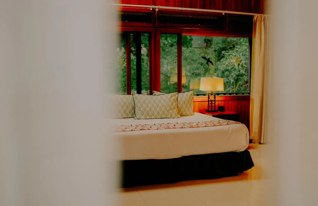 Hotel Heliconia - Monteverde-1