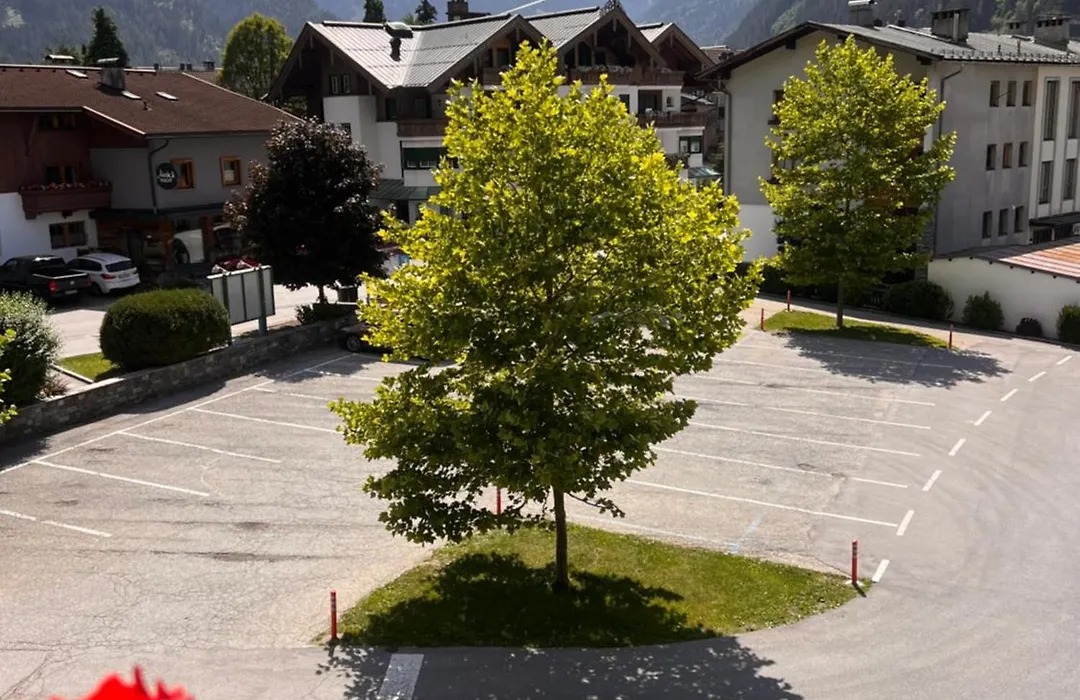 Edelweiss "Hotel & Restaurant"-1