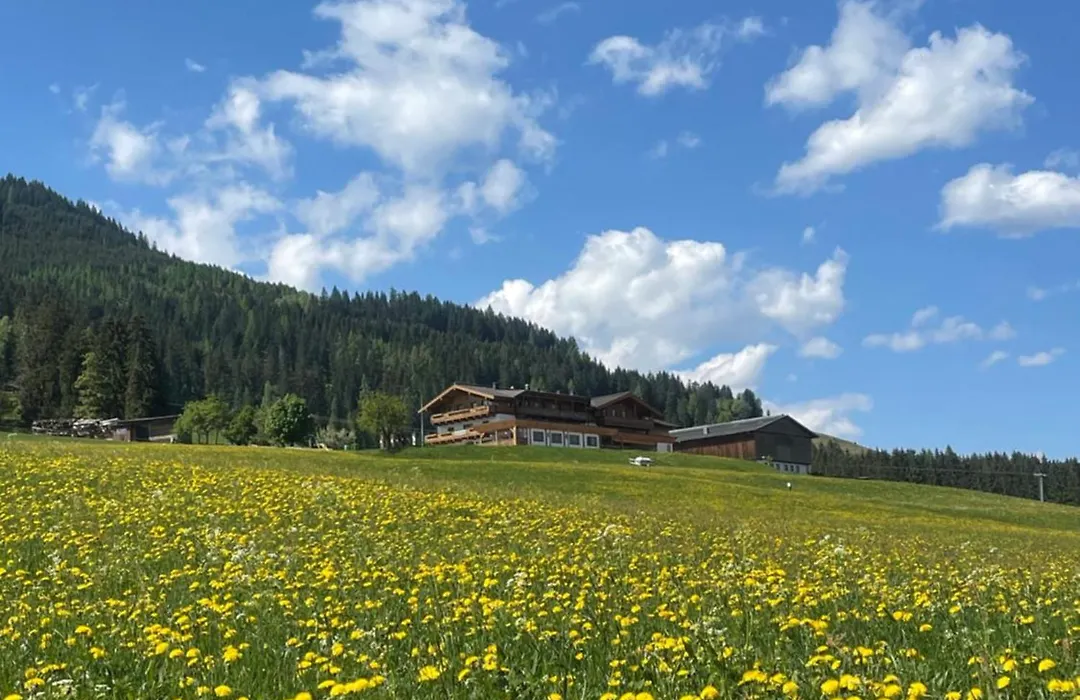 Berggasthof Hinterreit-1