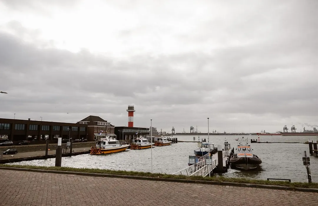 Mijn Torpedoloods-1