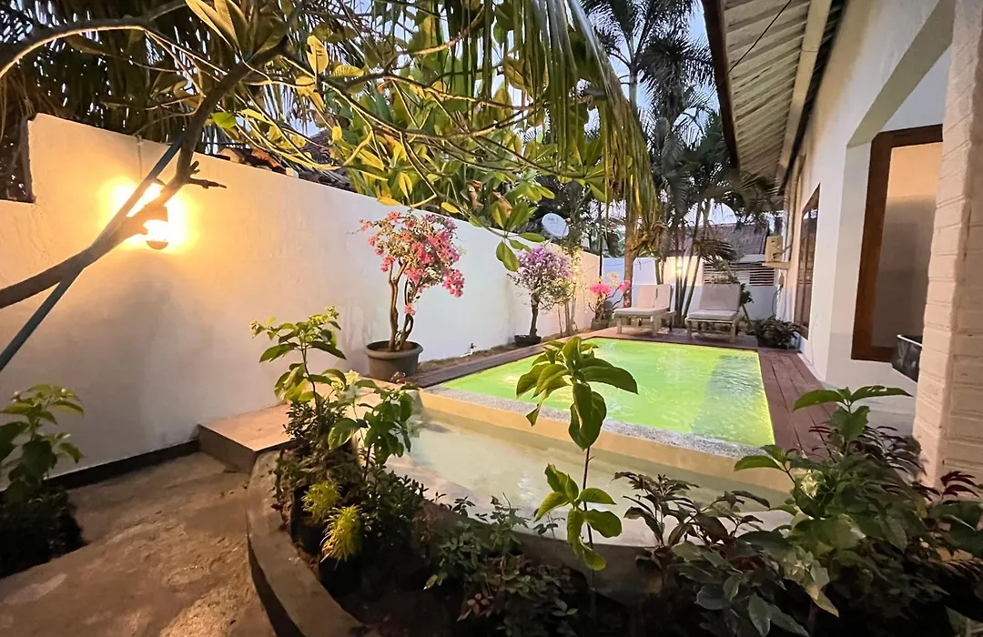 Palm Green Hotel-1