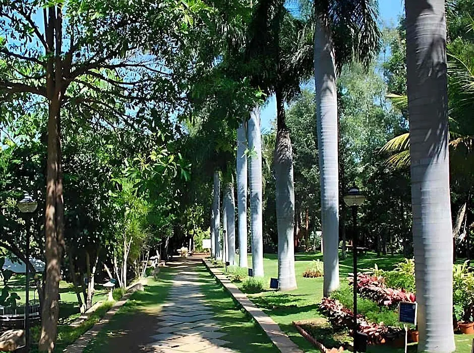 Pragati Green Meadows And Resort-1