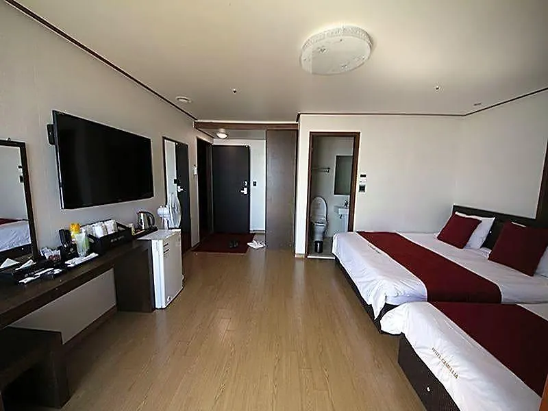 Hotel Camelia-1