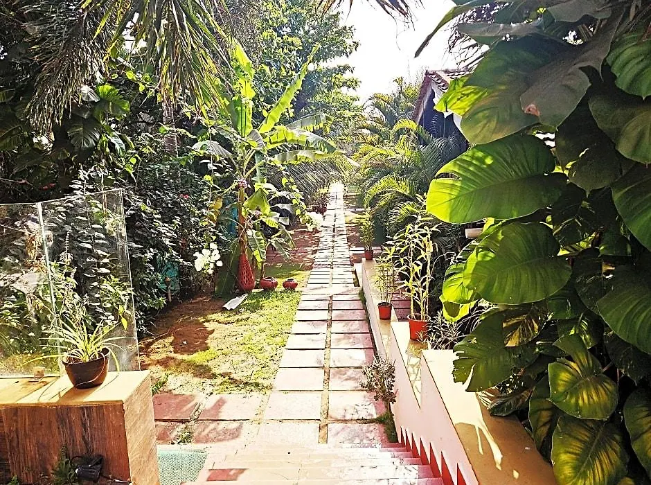 Shining Sand Beach Hotel-1